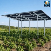 Système de montage au sol agrivoltaïque H2 Solar à vis, support solaire surélevé à double usage pour l'agriculture
