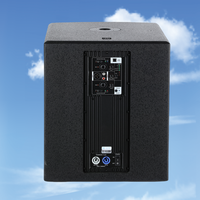 Subwoofer actif professionnel de 1000 W, 12 pouces, équipement audio avec module d'amplification intégré pour les événements d'église