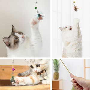 Baguettes à chat transparentes en PETG avec 8 accessoires faits main en forme d'insectes volants, plumes naturelles et clochettes colorées - Product Image 5