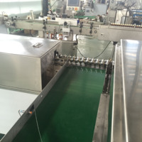 L'industrie de haute qualité personnalisée entièrement automatique Bmg Type Machine de pasteurisation Tunnel d'aliments en conserve
