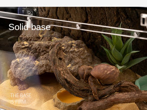 Barbaarse Bg Groei Szdb 001 Verbergen Schildpad Hagedis Reptiel Snake Huisdier Hars Veiligheid Verborgen Ontwijken Gat Verbergen Cave - Product Image 4