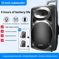 Haut-parleur Bluetooth intégré avec microphone de 12 pouces, chariot de danse carrée, haut-parleur portable de karaoké pour l'extérieur