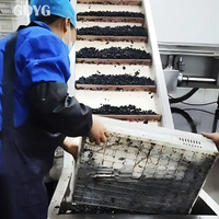 Exportprijs Chinese vruchten voor smoothies en desserts/Topkwaliteit Beste prijs Gehele diepvriesvruchten Groothandel Verse IQF Diepvries Bosbessen