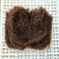 Originea Cheveux Humains Brésiliens Vierges Afro Kinky en Vrac pour Tresses, Crochets et Extensions de Cheveux
