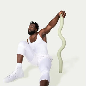 Kits de Yoga para Principiantes, Kit de Iniciación de Yoga, Accesorios de Yoga y Pilates, Barra de Pesas, Barra de Hierro, Mancuernas de Silicona, Anillo de Fuerza - Product Image 4