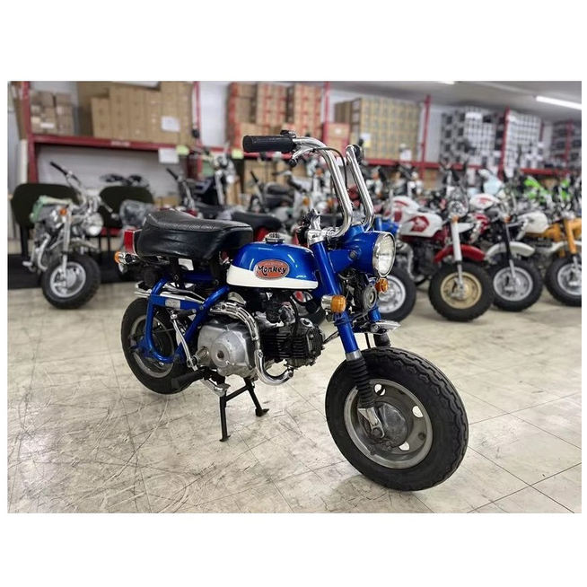 Vintage Japanese Bike Classic Style City Ride