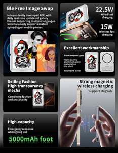 Hipoink 전자 종이 원래 제조 업체 전원 은행 전자 잉크 디지털 디스플레이 화면 3.87 인치 480x800px 무선 마그네틱 전화 - Product Image 5