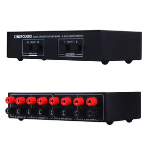 LINEPAUDIO 2 In 2 Out selettore altoparlante Switcher segnale Audio amplificatore di potenza ricevitore Audio Splitter Box