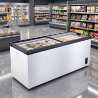 Congélateur îlot commercial robuste et réglable, grande capacité, à double porte, pour supermarché, idéal pour fruits de mer et produits surgelés