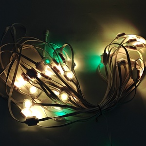 Su misura RGBW 24V LED Eave fata all'aperto luci di festa Smart plafoniere per natale IP67 valutato - Product Image 6
