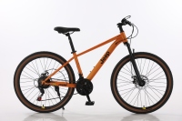 Vélo tout-terrain en alliage d'aluminium avec roulement intégré, pneus Jeep, antichoc et résistant à l'usure, pour adolescents