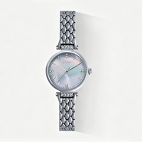 Montre à cadran romain pour femme, cadran en nacre, bracelet en acier inoxydable, montre à quartz étanche, cadeau d'anniversaire pour femme