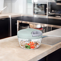 Hachoir à ail manuel 500 ml en plastique et acier inoxydable, multifonction, portable, pour cuisine, coupe-légumes