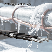 Câble chauffant auto-régulant 220V PTC pour la protection contre le gel des tuyaux, le dégivrage des toits, usage industriel, CE, étanche