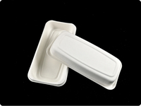 Assiettes jetables biodégradables en bagasse de canne à sucre pour plats à emporter, barquettes rectangulaires pour gâteaux d'anniversaire, assiettes alimentaires jetables pour barbecue