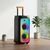 Enceinte portable sur roulettes pour karaoké avec 2 micros, caissons de basses, éclairage RGB dynamique, en plastique, entrée auxiliaire pour Bluetooth 5.2, 2000-3000 mAh
