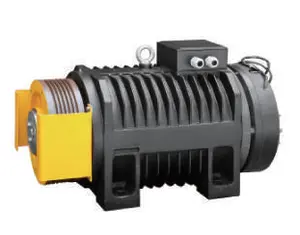 High Quality Gearless Traction Machine MCG Mona Lift Motor 320-1000KGS Motor Engine