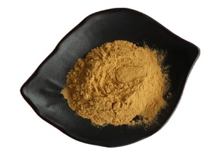 สารสกัดจากราก Baikal skullcap สารสกัดจากราก Scutellaria Baicalensis Georgi สารสกัดจาก baicalin Scutellaria - Product Image 1