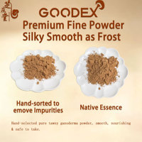 GOODEX Poudre de corps fruitaire de Ganoderma Lucidum de qualité alimentaire, séchée à l'air chaud, approvisionnement direct usine et expédition directe de la ferme forestière