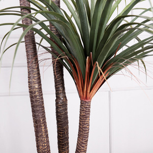 Venta de Fábrica, Planta Artificial de Bonsái de <span class=keywords><strong>Agave</strong></span> de Sangre de Dragón de Alta Calidad para Decoración del Hogar - Product Image 4