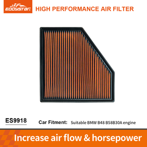 Filtro de Aire de Alto Flujo y Alto Rendimiento EDDYSTAR para BMW M140i/M240i/GT Serie 1/<span class=keywords><strong>2</strong></span>/3/4/5/7 B48 B58B30A ES9918 - Product Image 1