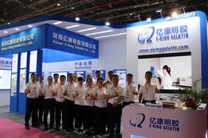 Gélatine <span class=keywords><strong>Halal</strong></span> pour boulangerie, pâtisserie et produits sucrés Gélatine comestible - Product Image 5