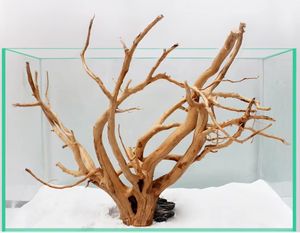 Groothandel Natuur Decoratieve Tropische Regenwoudboom Grote Bonsai Drijfhout Boom - Product Image 4