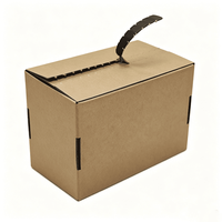 Boîte d'expédition en carton ondulé personnalisée en papier kraft avec bande de déchirement et intérieur noir entièrement imprimé pour l'emballage d'abonnements beauté