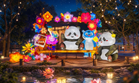 Installations de lanternes LED en soie motif Panda chinois pour Diwali, célébrations de remise des diplômes, zones scéniques, quartiers commerciaux - Couleurs personnalisées