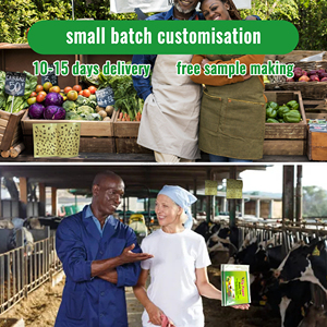 Trappole Adesive per Insetti in Carta, Usa <span class=keywords><strong>e</strong></span> Getta, Gialle, con Forte Adesivo, per Controllo Insetti, Uso Interno, 12 Ore, Prezzo all'Ingrosso - Product Image 6