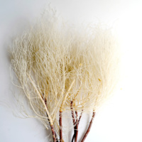 Herbe des rêves naturelle préservée, fleurs et plantes séchées, décoration de Noël longue durée pour la maison, DIY