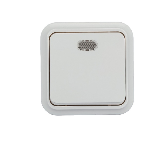 Factory Sale Various Widely Used Electric Socket Light Switch Electrical 1 Way Switch with LED Lamp