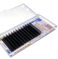 Extensions de cils en gros 0.07W, courbure C, D, DD, logo personnalisé accepté, volume W Lash
