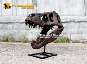 Crâne de Tyrannosaurus Rex réaliste fait main pour l'exposition du Musée d'histoire <span class=keywords><strong>naturelle</strong></span> My Dino - Product Image 6