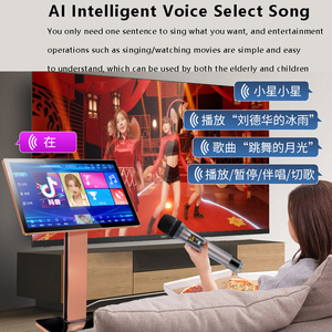 Máquina de Karaoke Profesional de la Mejor Calidad, Pantalla Táctil de 22 Pulgadas, Admite 26 Idiomas, Entretenimiento Sin Fin - Product Image 5