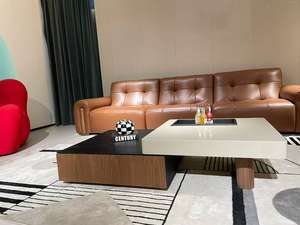 Juego de Sofá y Mesa de Centro de Cuero de Lujo para Decoración de Sala de Estar, Juego de Mesa de Centro para Espacios Pequeños - Product Image 4