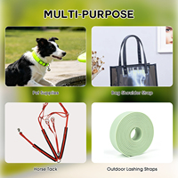 Sangle en sangle tissée colorée en gros d'usine, avec impression de logo, enduite de TPU/PVC, imperméable, pour collier et laisse de chien
