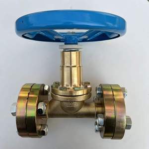 Válvula de Compuerta Manual para Tuberías QJT200-20 para Agua, Aceite y Gas - Product Image 3