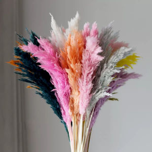Petit roseau séché décoratif fleur pampa herbe séchée fleur <span class=keywords><strong>mariage</strong></span> décoration accessoires préservé <span class=keywords><strong>bouquet</strong></span> de fleurs VP-YNYB001 - Product Image 1