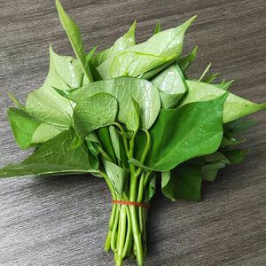 Hojas de pimienta de Jamaica frescas de primera calidad en forma de polvo vegetal crudo 1kg <span class=keywords><strong>verde</strong></span> Bencao Yutang para procesamiento de alimentos y condimentos - Product Image 6