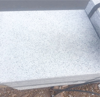 Capuchons de piliers en granit gris G603 pour la conception graphique de villas