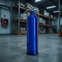 Extincteur portable à base d'eau, classe ABEF, ignifuge, écologique, fabrication directe en usine
