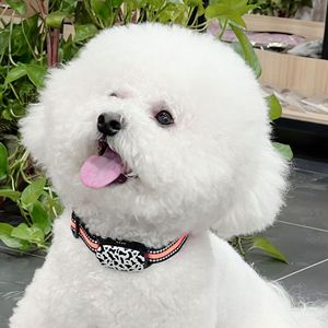 Collier intelligent avec traceur GPS pour animaux de compagnie, pour chats et chiens, suivi en temps réel, connexion Bluetooth, compatible Android - Product Image 1