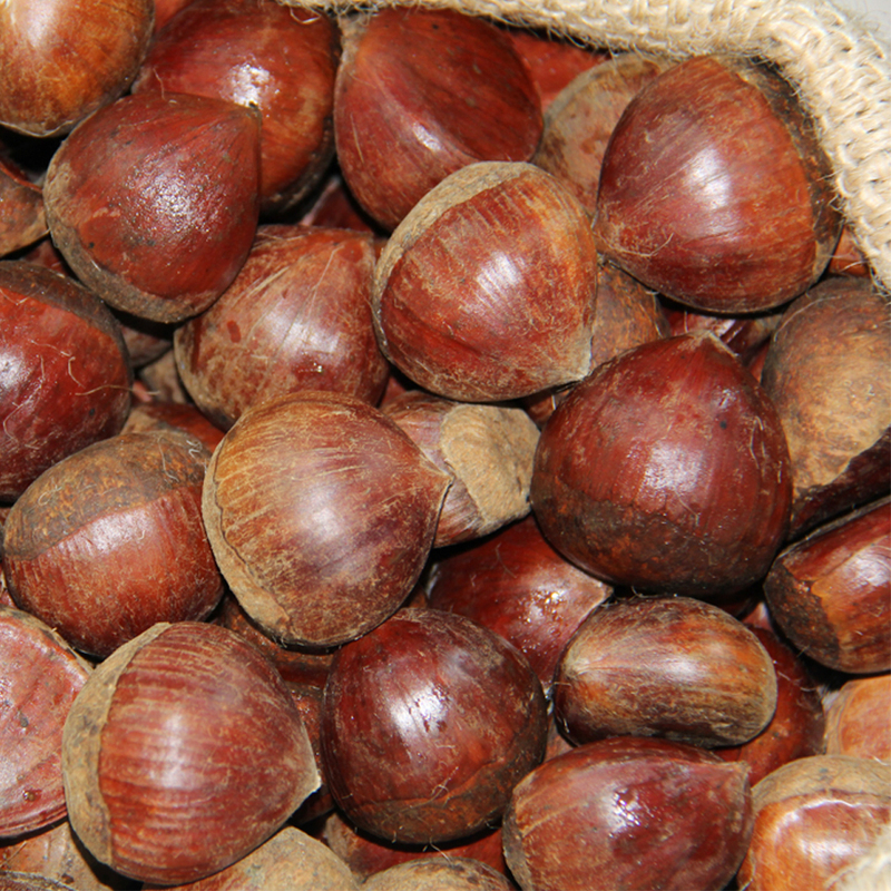 Factory Price Individual Packaging Organic Roasted
