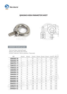 Vite ad Occhio per Sollevamento DIN 580 in Acciaio Inox <span class=keywords><strong>M6</strong></span>-M52, Lucidatura Elettrolitica, Produttore Cinese HIDEA - Product Image 5