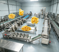 Ligne de production de chips de pommes de terre, machine à chips de pommes de terre, machine automatique à chips de pommes de terre, machine d'emballage de chips de pommes de terre