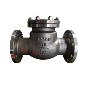 Clapet anti-retour à ressort en titane Gr 2 résistant à la corrosion, <span class=keywords><strong>prix</strong></span> usine, sur mesure OEM, à brides, pour produits chimiques, eau de mer, pétrole et gaz - Product Image 5