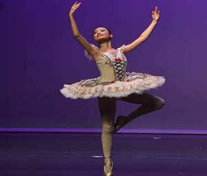 Venta caliente Nuevos trajes <span class=keywords><strong>de</strong></span> baile Ballet Tutu Velvet Trajes <span class=keywords><strong>de</strong></span> Ballet para adultos. Nuevo -- 29 - Product Image 1