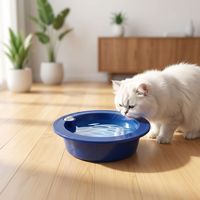 Vente en gros usine Zhejiang LZ-CWBW – Bol rafraîchissant en plastique écologique à motif de dessin animé pour chiens et chats, idéal pour l'été