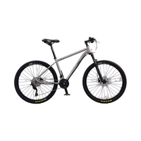 Chine usine 29er titane vtt vélo qualité garantie adulte VTT avec 12 vitesses Bicicleta conception légère